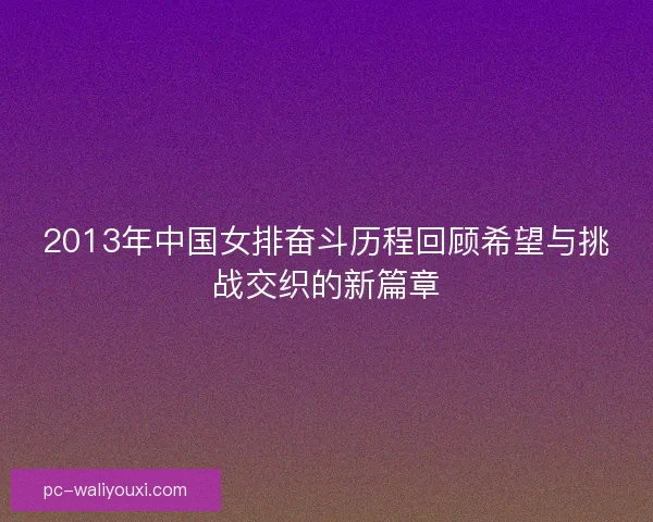 2013年中国女排奋斗历程回顾希望与挑战交织的新篇章
