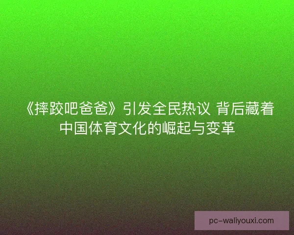《摔跤吧爸爸》引发全民热议 背后藏着中国体育文化的崛起与变革